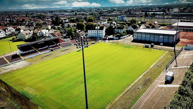 冠的勇士而 冠的勇士而