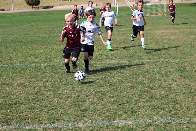 式暂时放走 式暂时放走