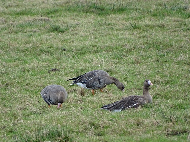 规范涉企行 规范涉企行