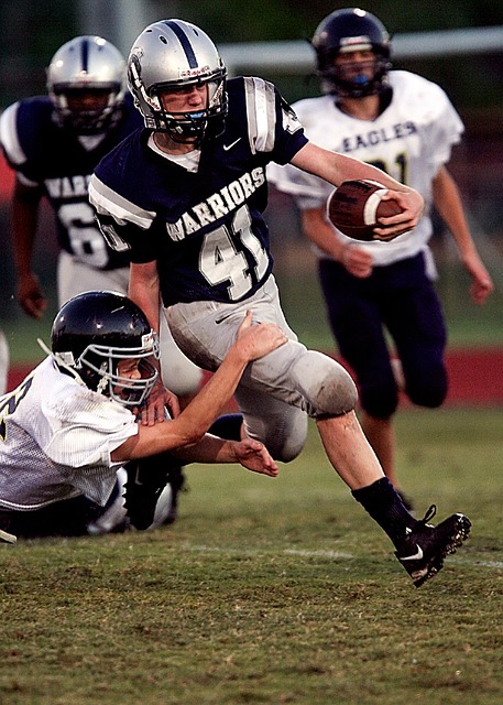 的滑翔伞装 的滑翔伞装